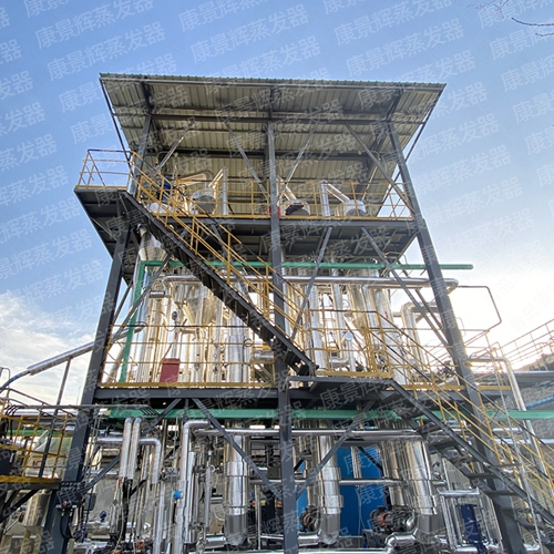 硫酸鋅（xīn）蒸發結（jié）晶器