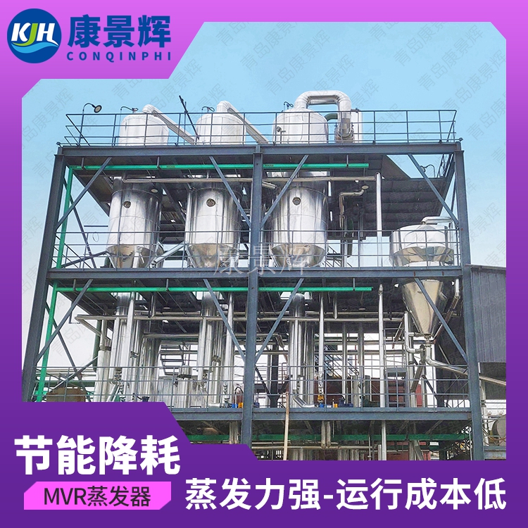 甘氨酸結晶母（mǔ）液蒸發係（xì）統