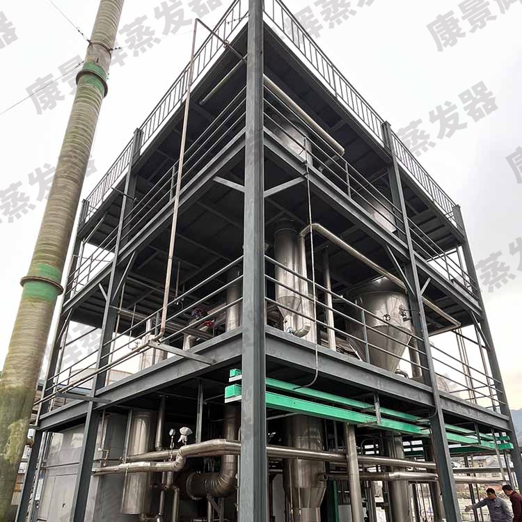 處理量（liàng）4t/h植物（wù）黃薑水解液MVR蒸發濃縮係統（tǒng）