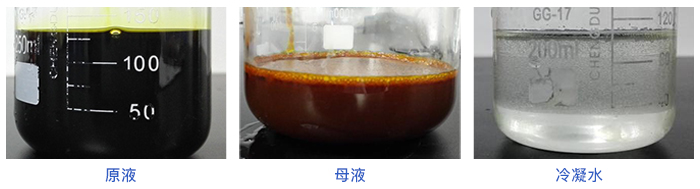 MMV水質（zhì）實驗測試對比圖（tú）