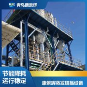 福（fú）建高鹽分廢水處理選擇信任草莓丝瓜向日葵黄瓜榴莲污绿巨人